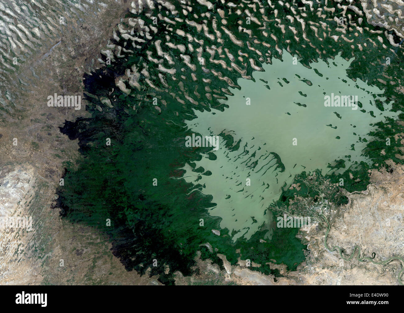 Lake Chad, Chad, True Colour Satellite Image. Lake Chad in the dry season, the water is in light green, the dark green shows swa Stock Photo