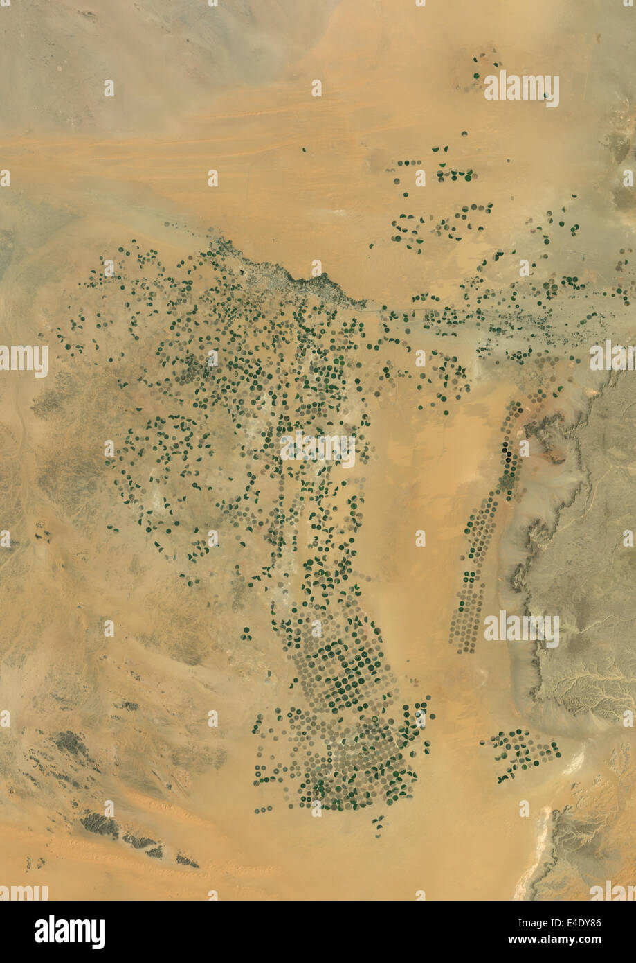 Agriculture In The Desert, South Part Of The Riyadh Province, Saudi Arabia, True Colour Satellite Image. True colour satellite i Stock Photo