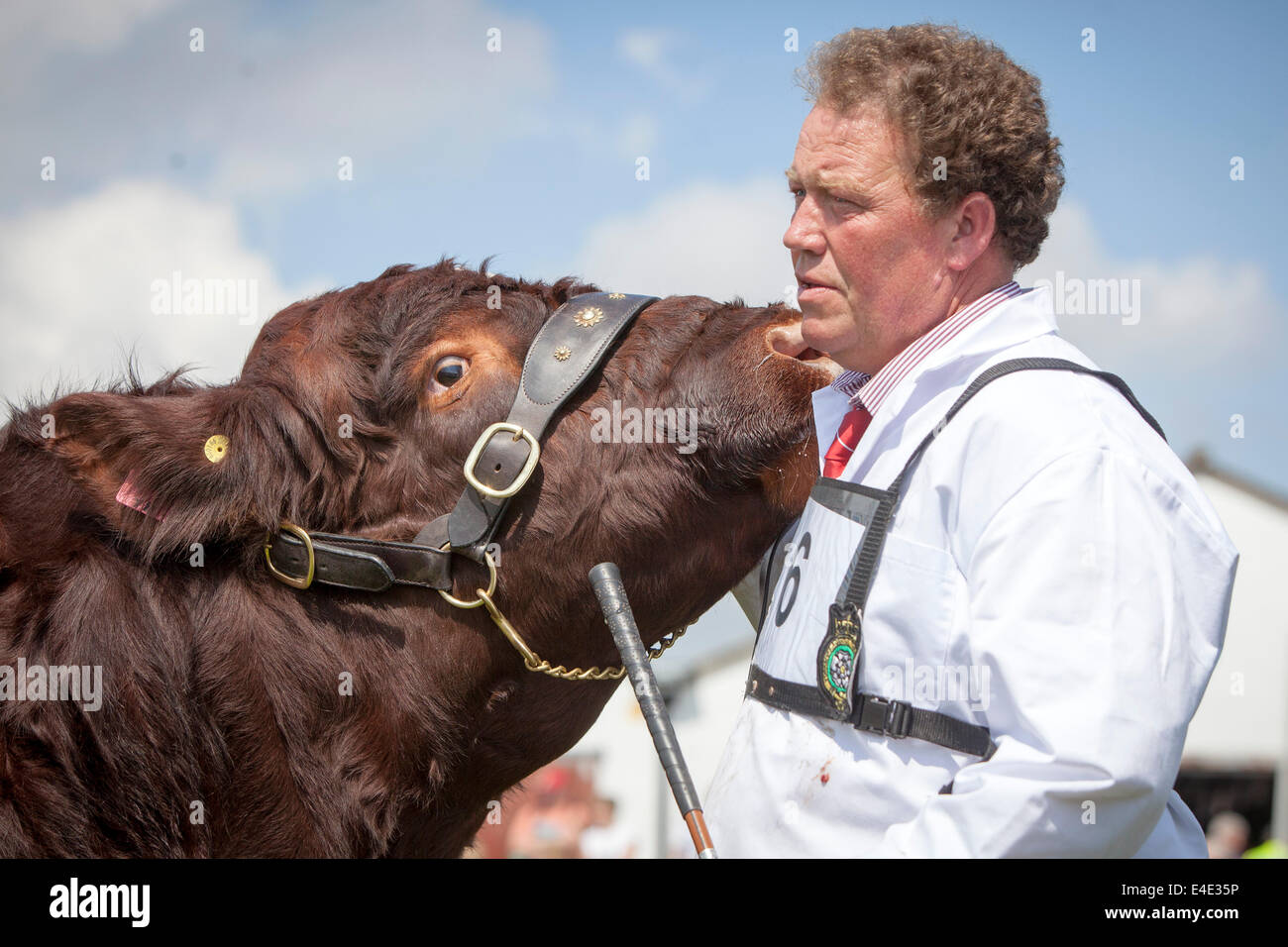 The Great Yorkshire Show 2014 Stock Photo