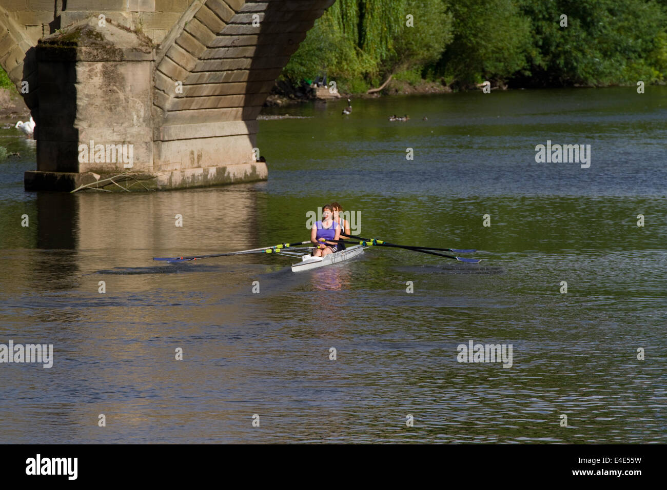 Two women rowers on River Severn, rowing under bridge at Bedley