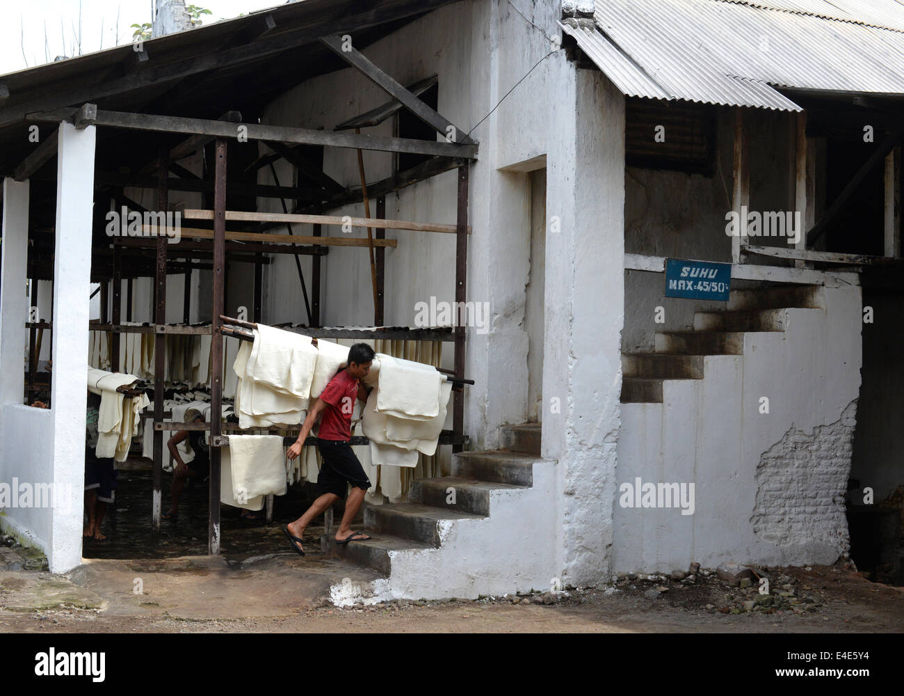 At Glenmore plantation rubber latex is produced in much the same was as