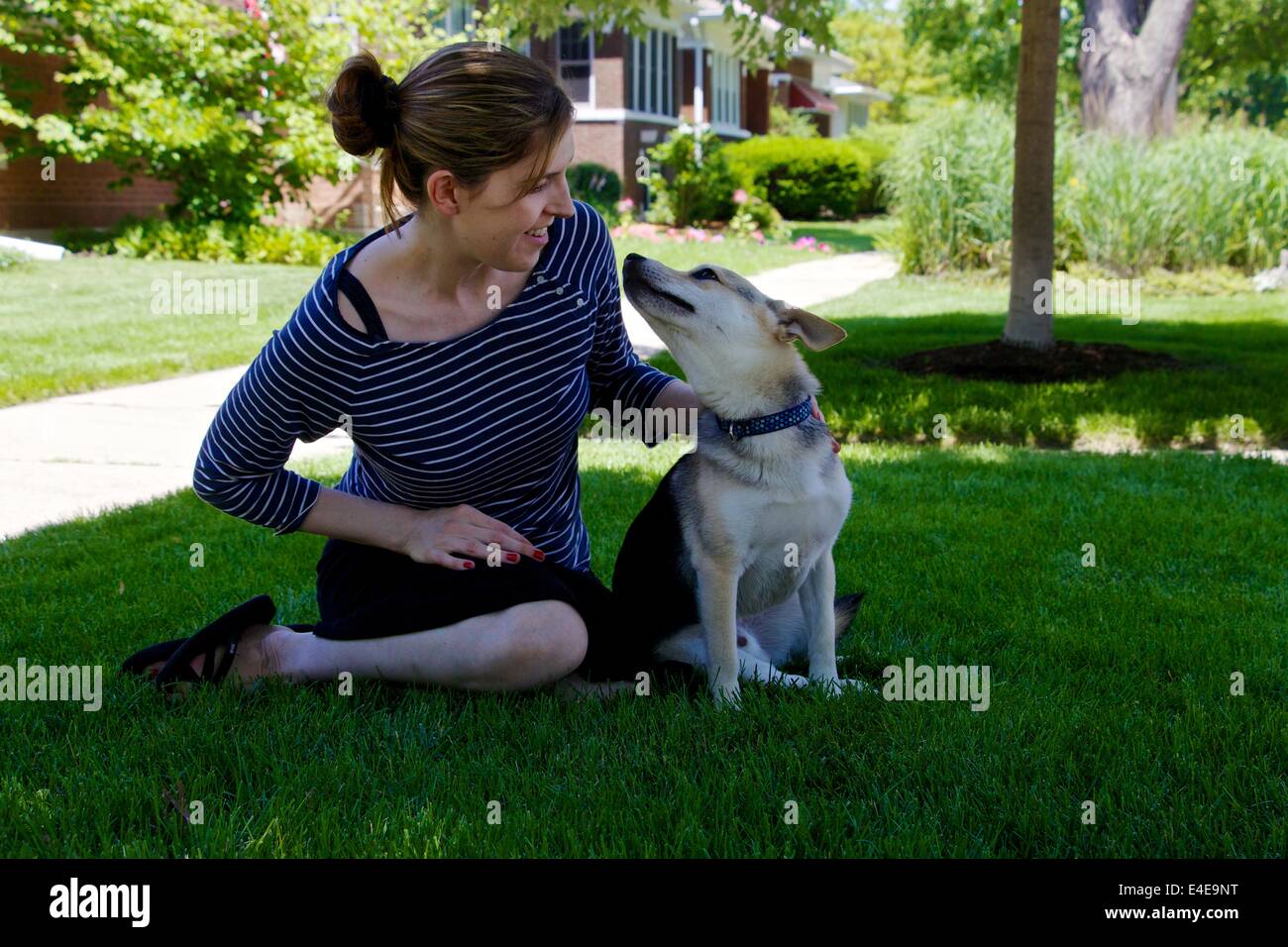 Young woman with small shepherd mix dog. Stock Photo