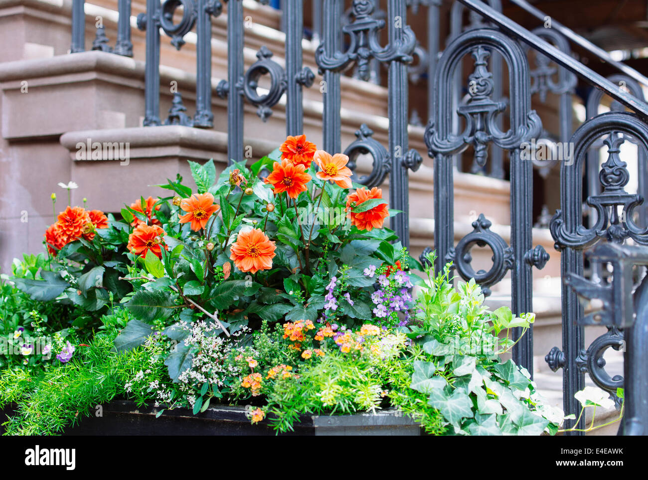 Flowers in front of brownstone. West Village. New York City, NY, USA