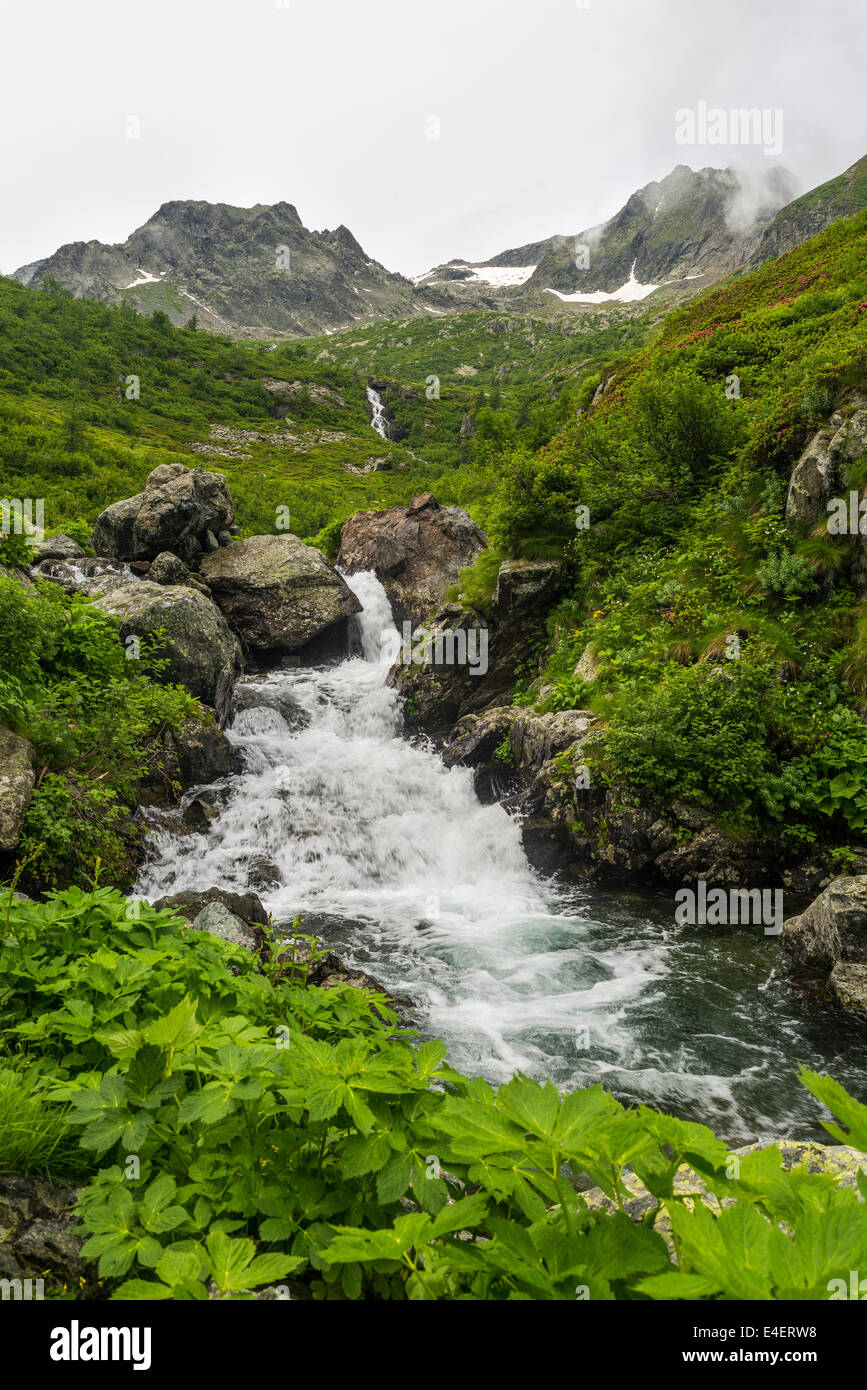 Mountain stream impetuously flowing in idyllic uncontaminated environment. Stock Photo