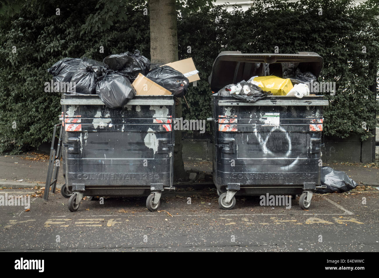 Large black communal wheelie bins overflowing with rubbish in Edinburgh's Marchmont area Stock Photo