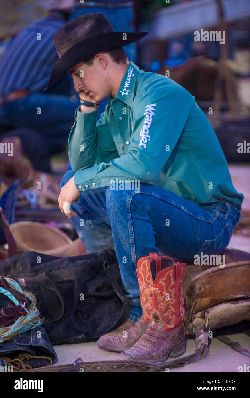 Professional rodeo cowboy on hi-res stock photography and images - Alamy
