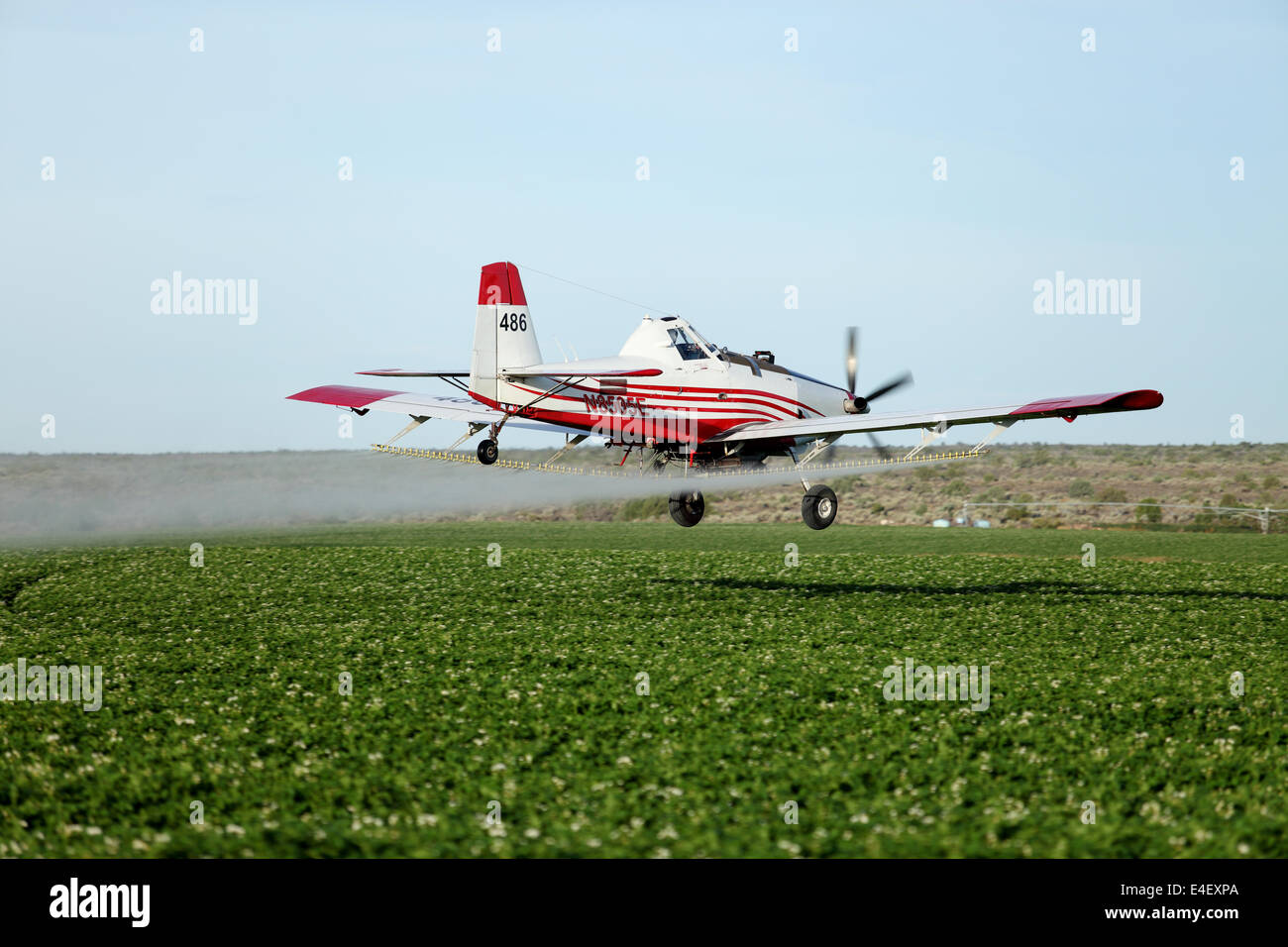 A view of a crop duster spraying green farmland. Stock Photo