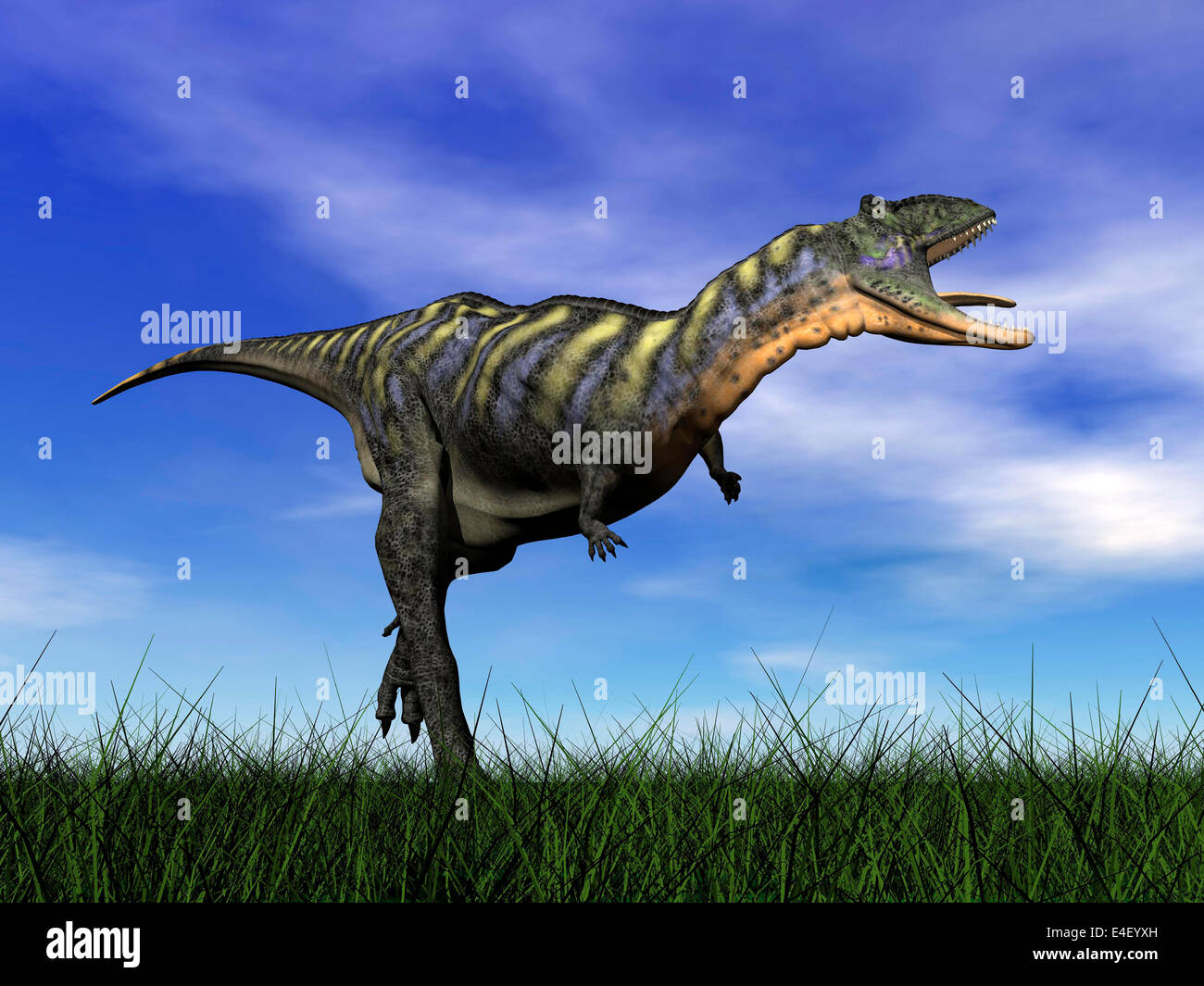Aucasaurus dinosaur running in the grass. Stock Photo