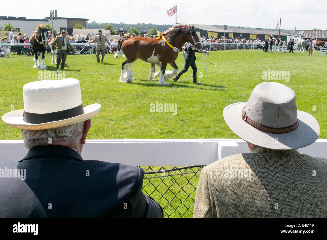 The Great Yorkshire Show 2014 Stock Photo Alamy