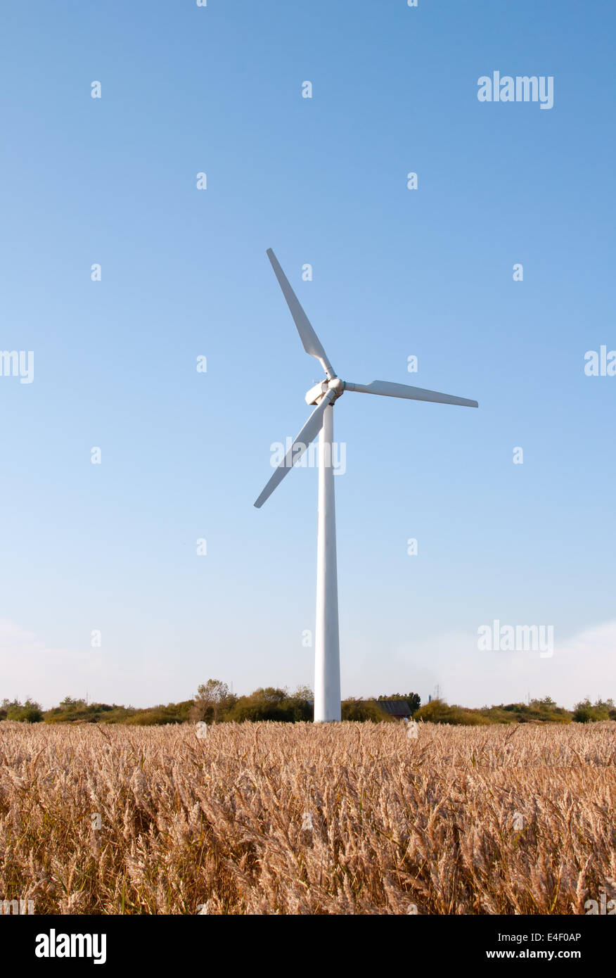 Single wind turbine in Esbjerg Denmark Stock Photo - Alamy