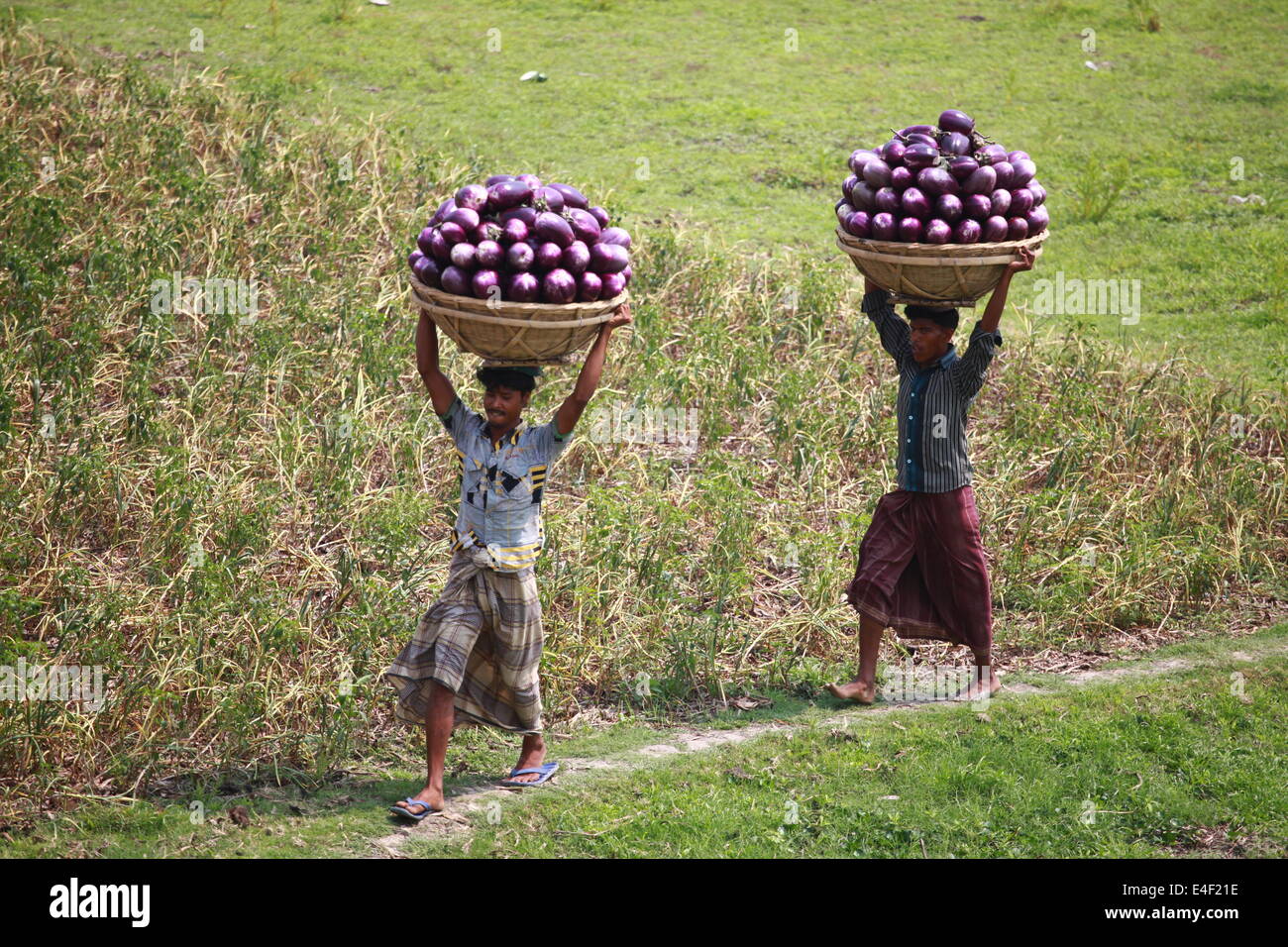 Water collecting bangladesh hires stock photography and images Alamy