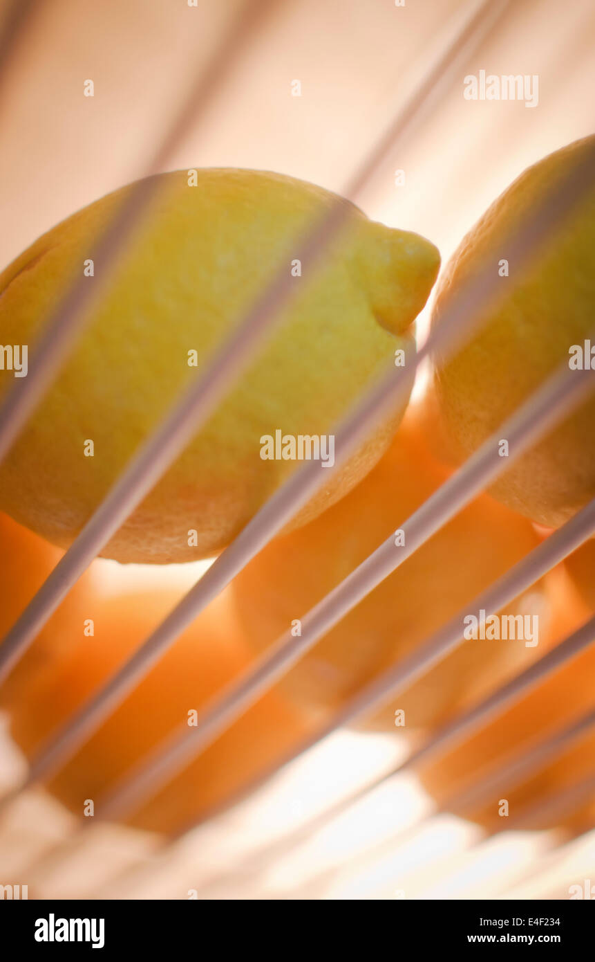 lemons in the fridge Stock Photo Alamy