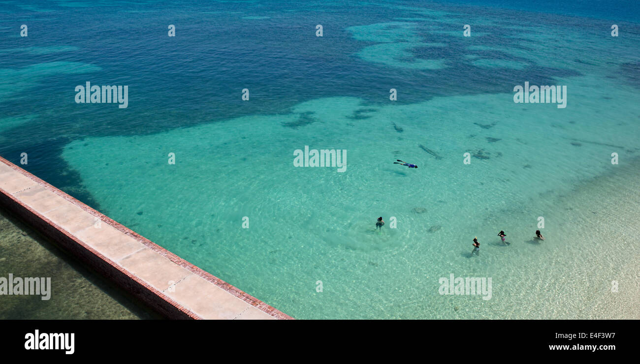 Snorkeling at Fort Jefferson Dry Tortugas National Park Stock Photo Alamy