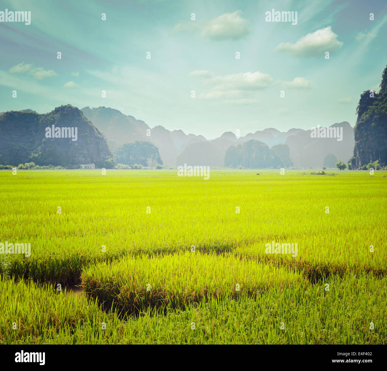 Vintage style field hi-res stock photography and images - Alamy
