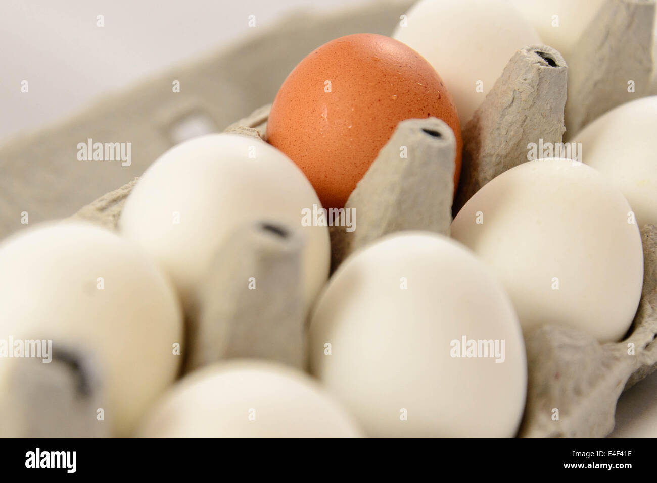 brown and white eggs in a carton Stock Photo