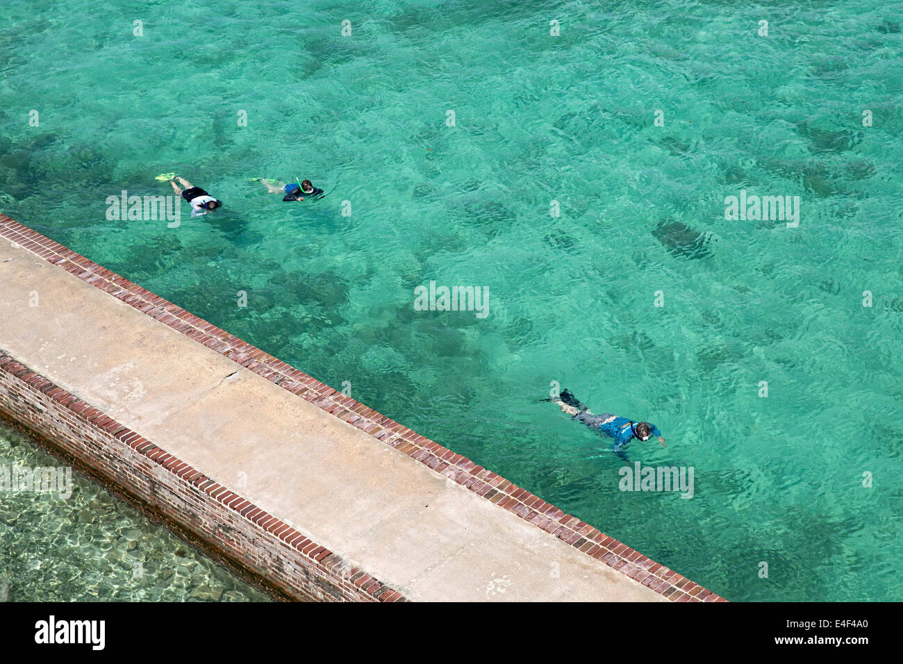 Snorkeling at Fort Jefferson Dry Tortugas National Park Stock Photo