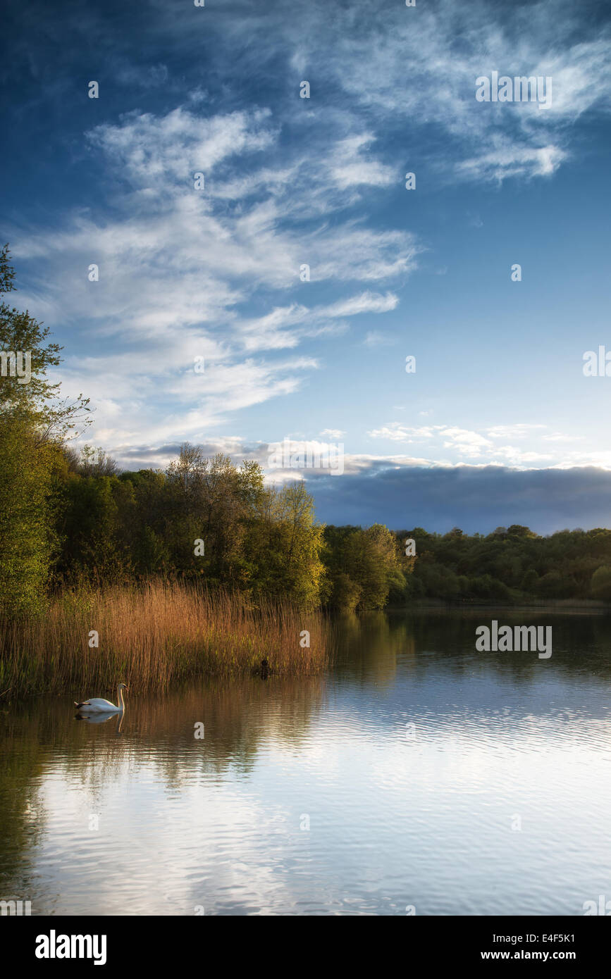 Calm lake waters hi-res stock photography and images - Alamy