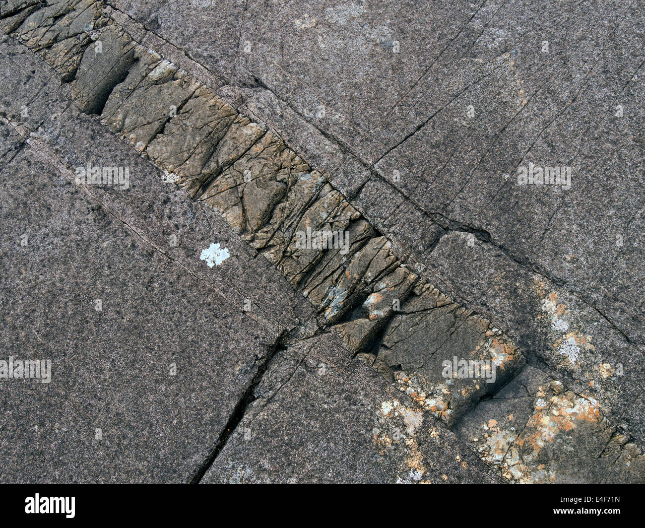 Seam of igneous intrusion in glacial smoothed and scored gabbro rock, Isle of Skye, Scotland, UK Stock Photo