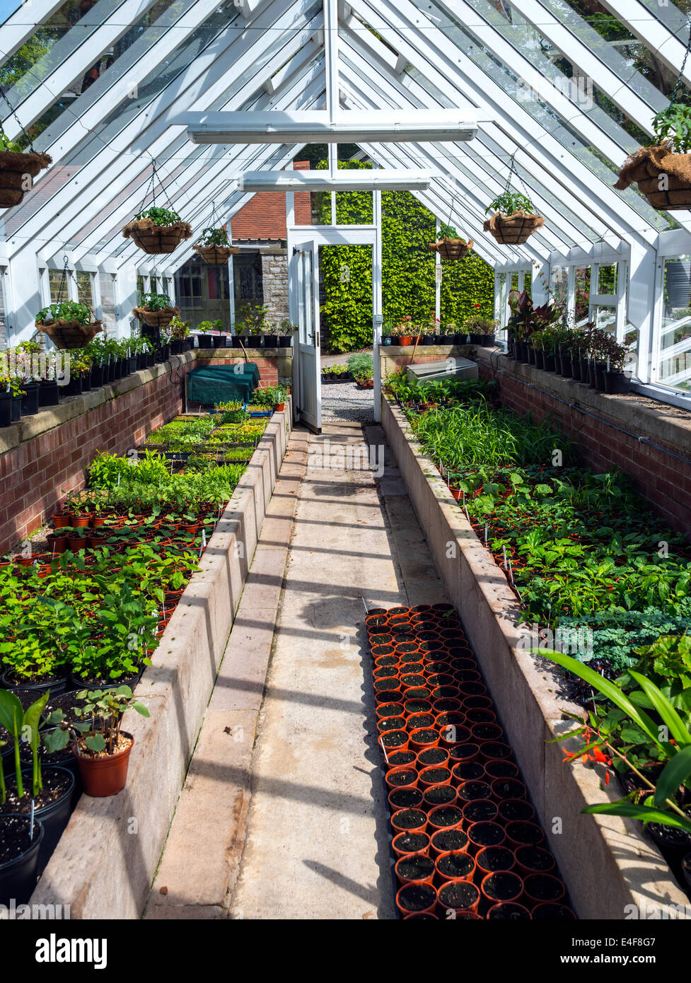 Commercial greenhouse hi-res stock photography and images - Alamy