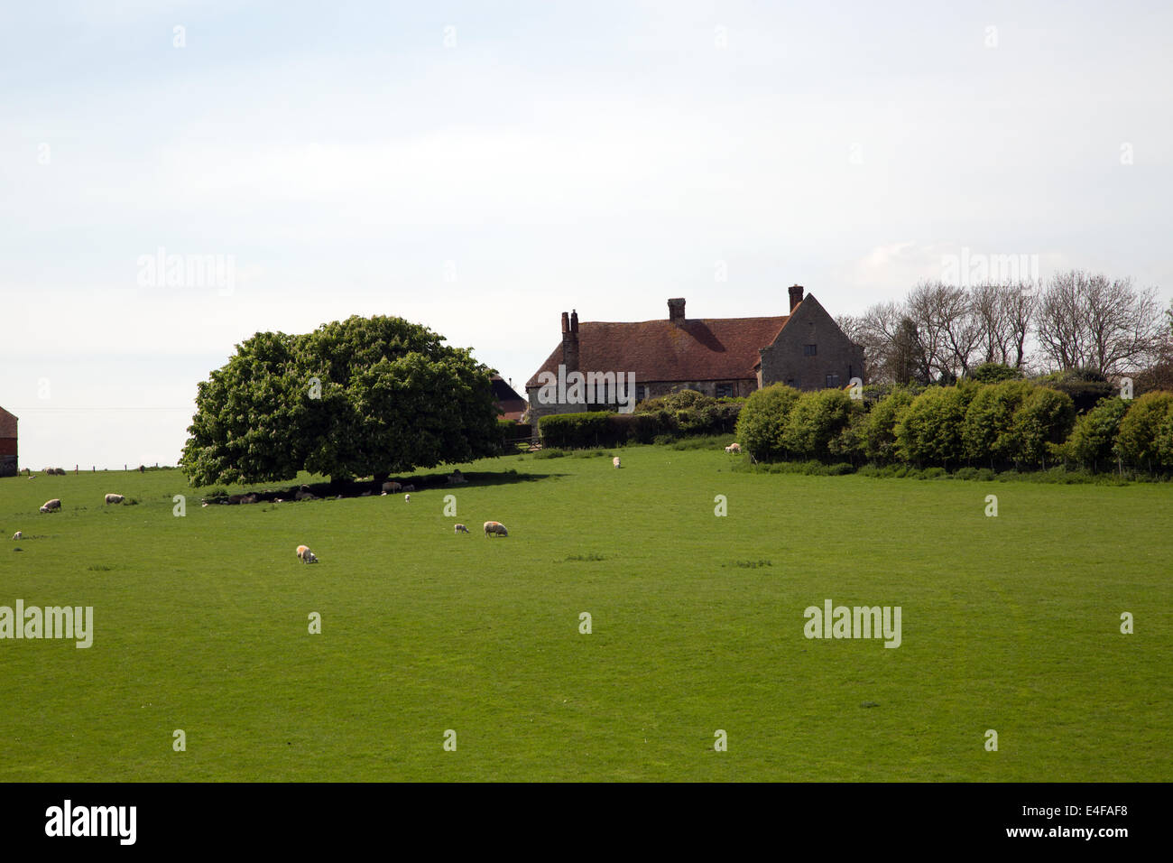 Wickham Manor Farm from Wickham Rock Lane, Winchelsea, East Sussex, England Stock Photo