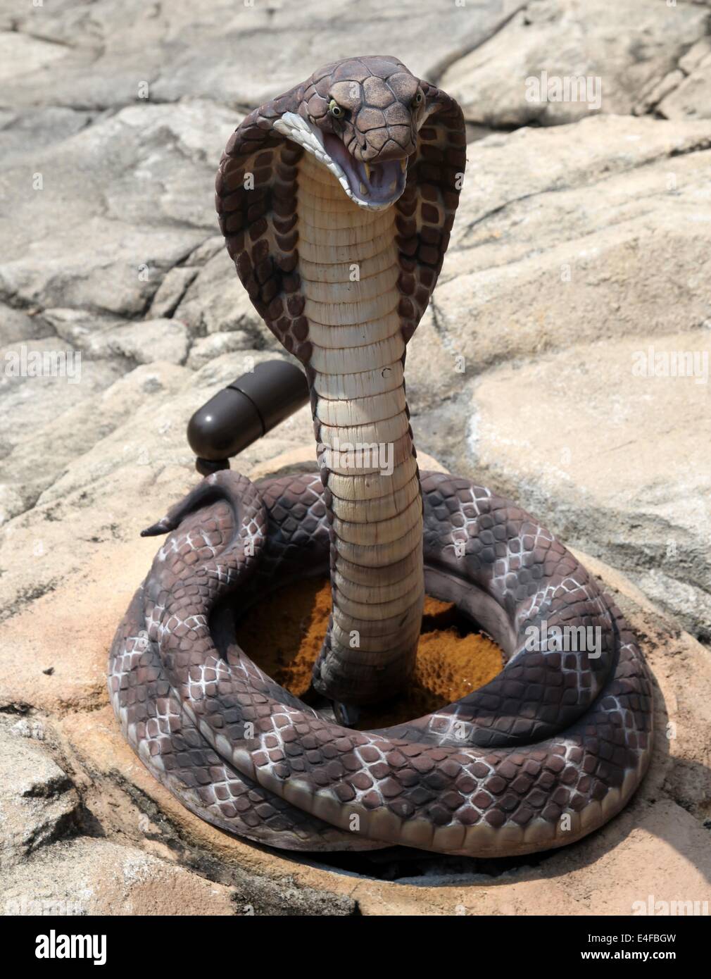 It's a photo of a cobra snake. It's a replica statue in an entertainment park in South Korea not far from Seoul Stock Photo