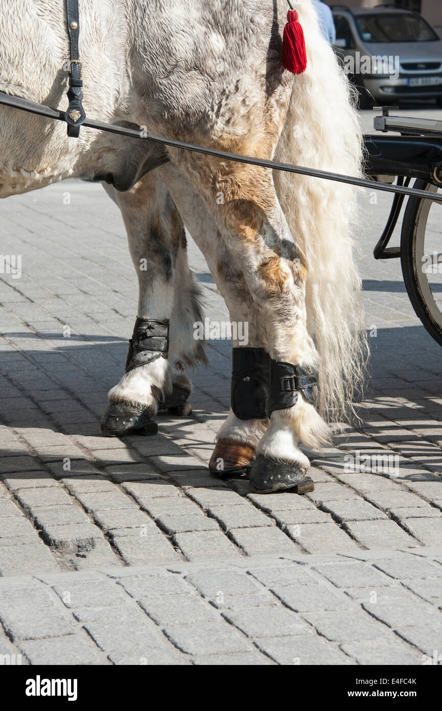Rubber shoes 2024 for horses