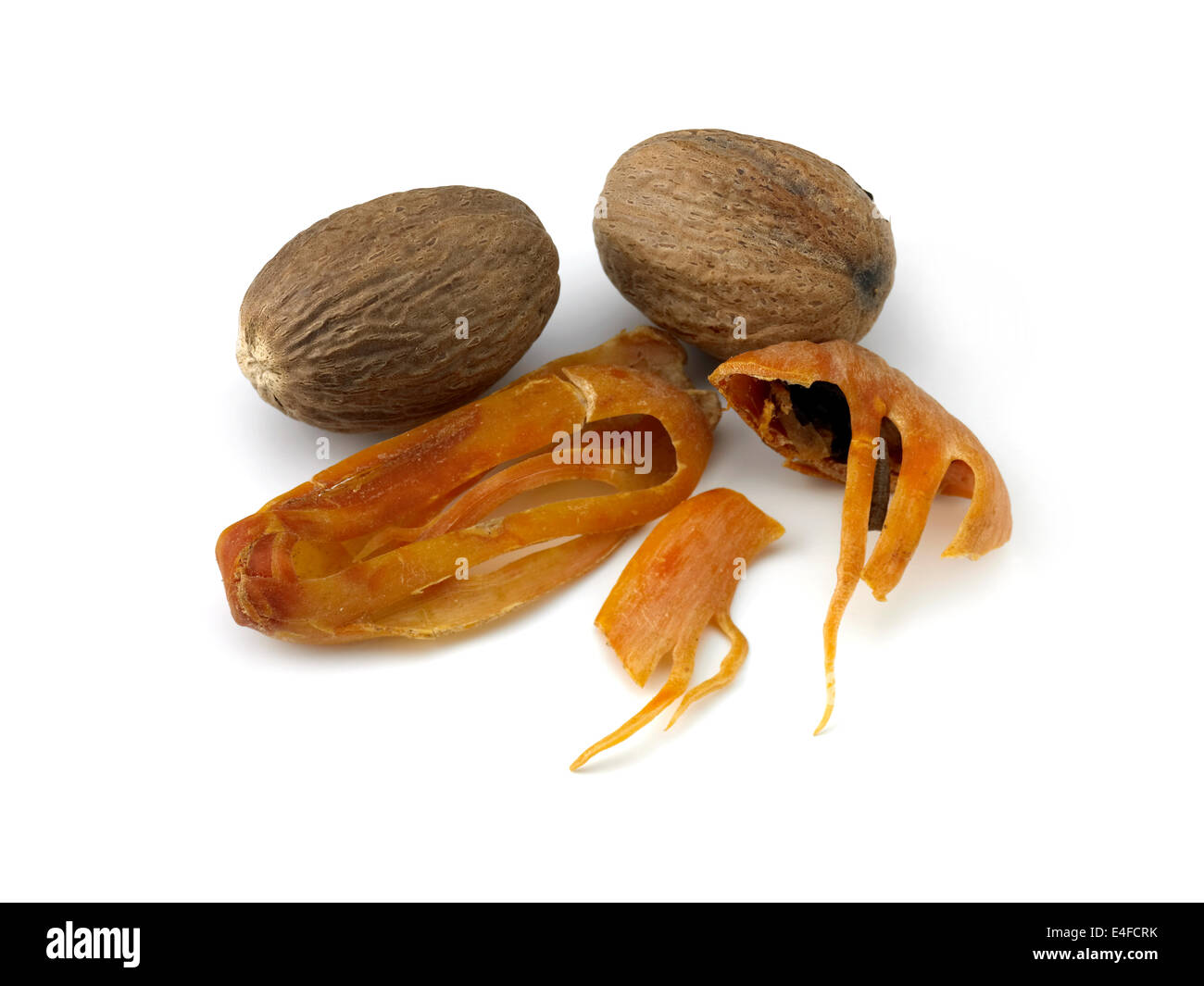 nutmeg & blade mace Stock Photo Alamy