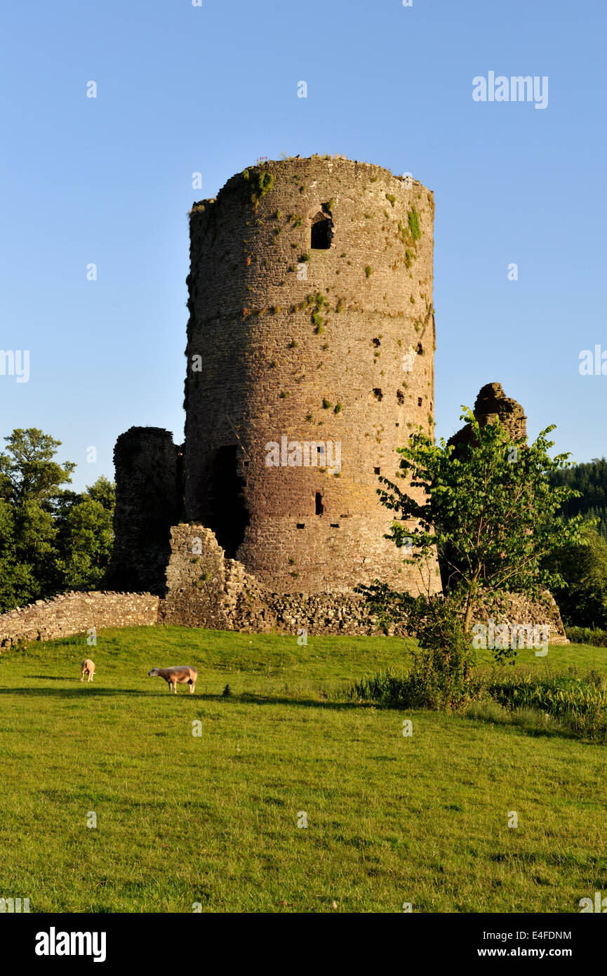 Tretower Castle ruins located in a farmyard, Powys, mid-Wales, UK Stock Photo