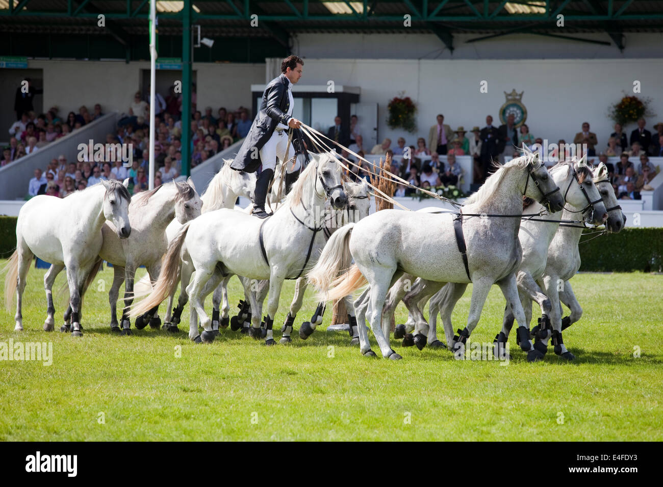 Harrogate, North Yorkshire, UK. 9th July, 2014. French horse trainer