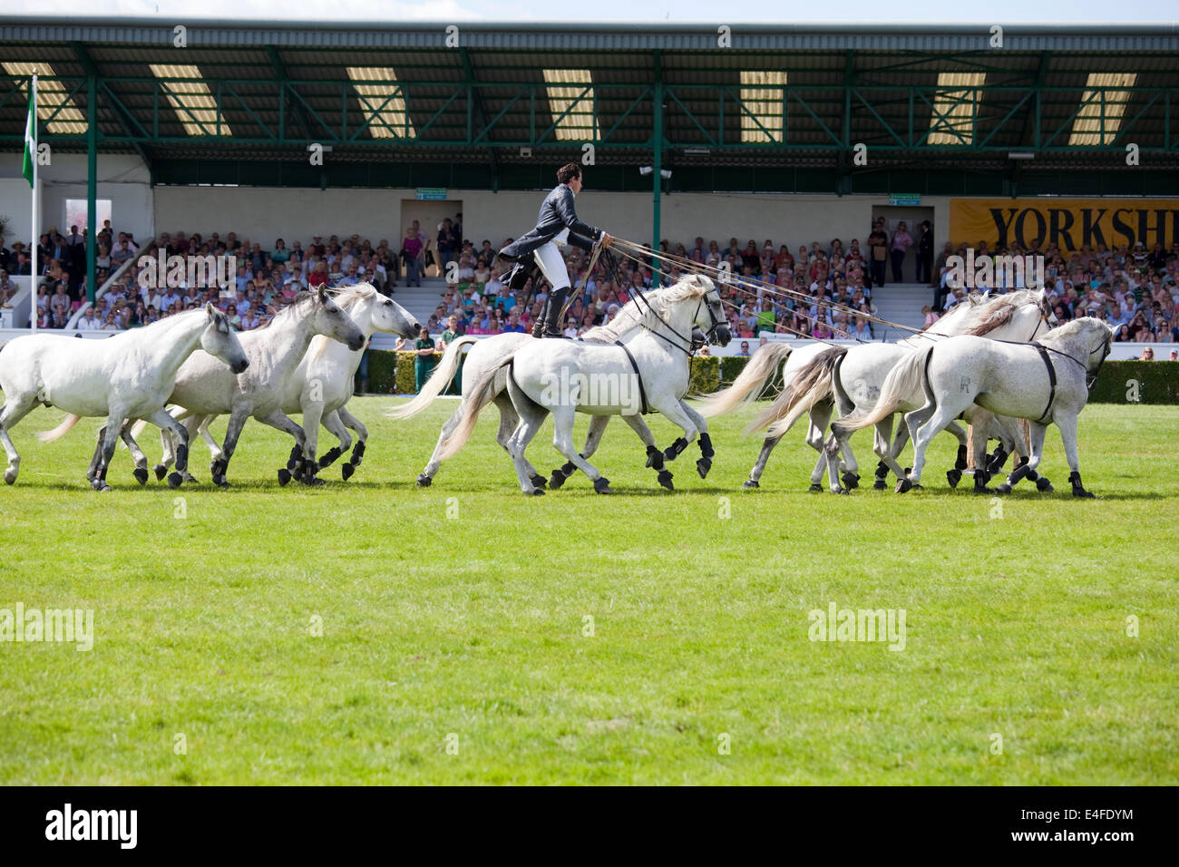 Harrogate, North Yorkshire, UK. 9th July, 2014. French horse trainer