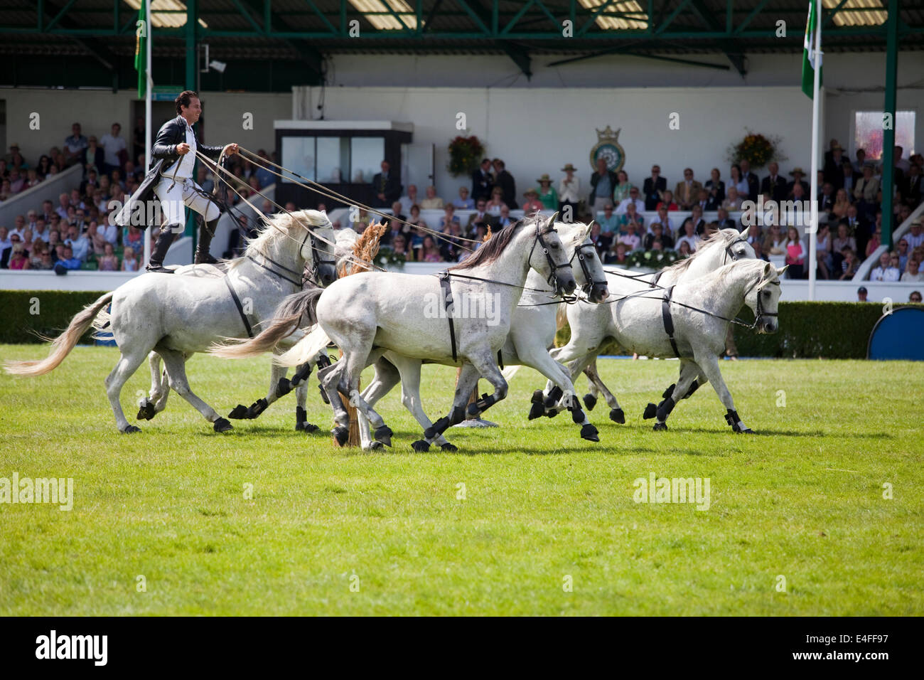 Horses images hires stock photography and images Alamy