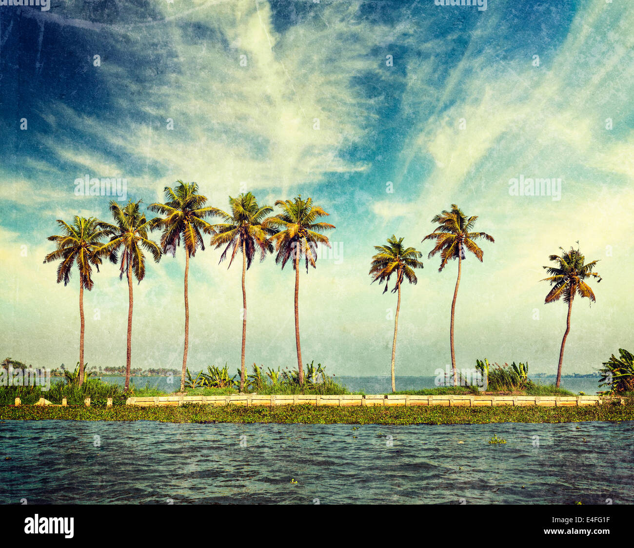 Vintage retro hipster style travel image of palms at Kerala backwaters with grunge texture overlaid. Kerala, India Stock Photo