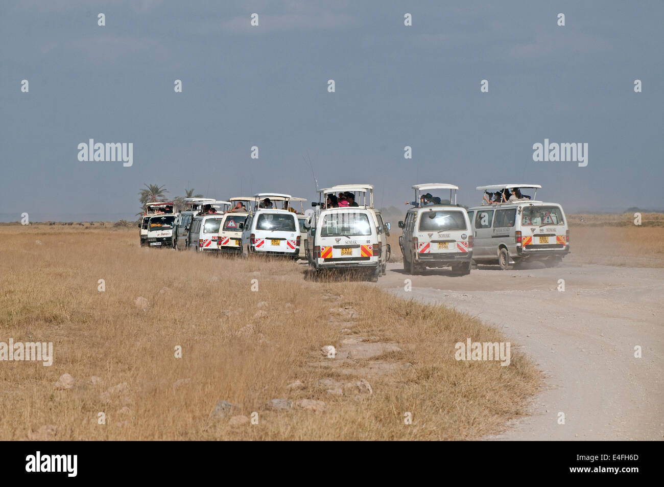 Crowd of 12 white minibuses with tourists watching wildlife in Amboseli National Park Kenya East Africa Stock Photo