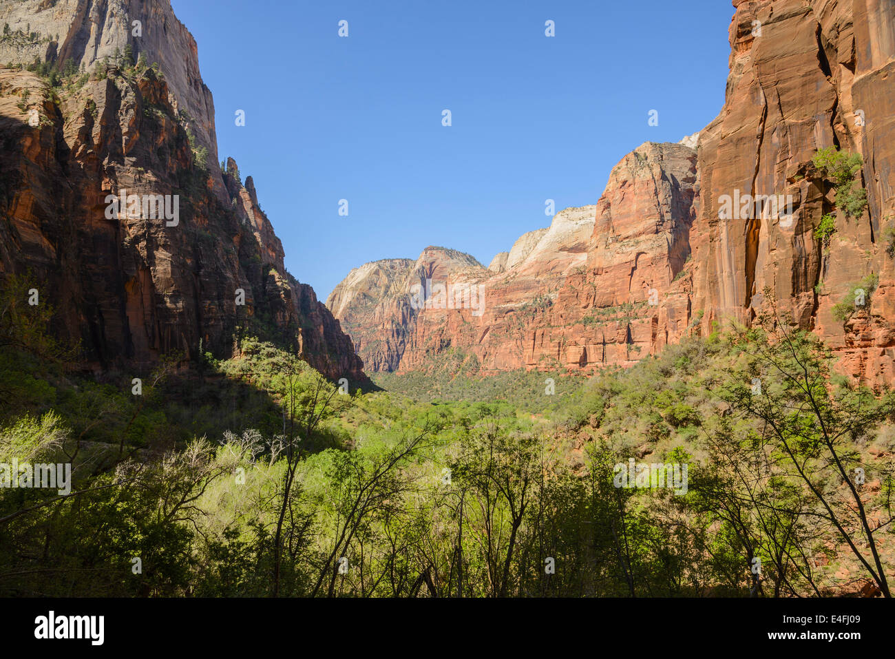 View from Weeping Rock, Zion National Park, Utah, USA Stock Photo