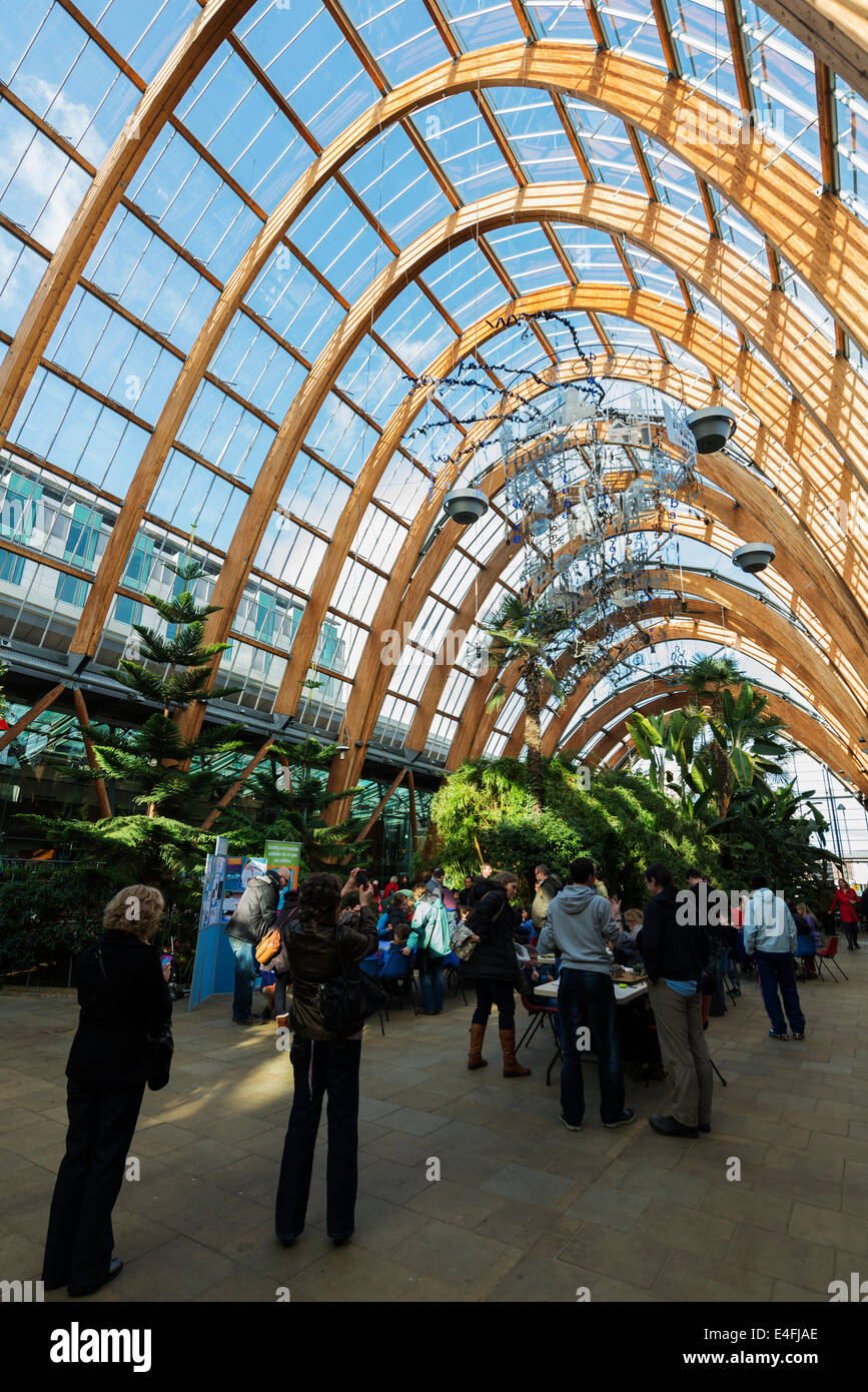 Winter gardens sheffield events