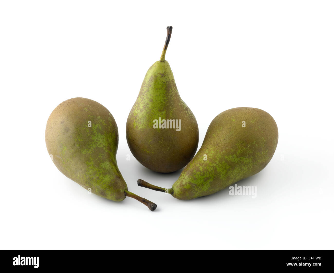 conference pears Stock Photo