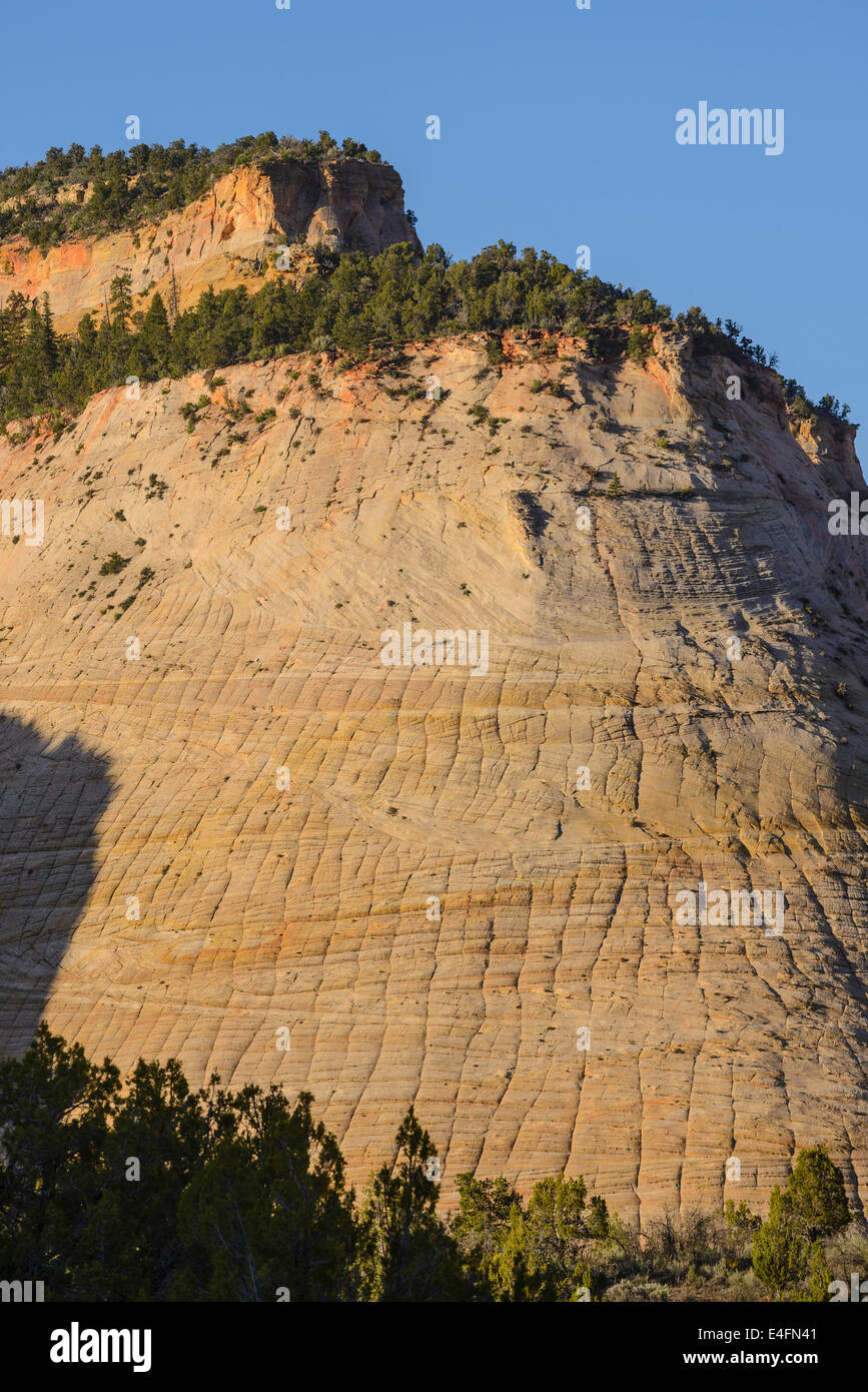 Checkerboard Mesa, Zion National Park, Utah, USA Stock Photo