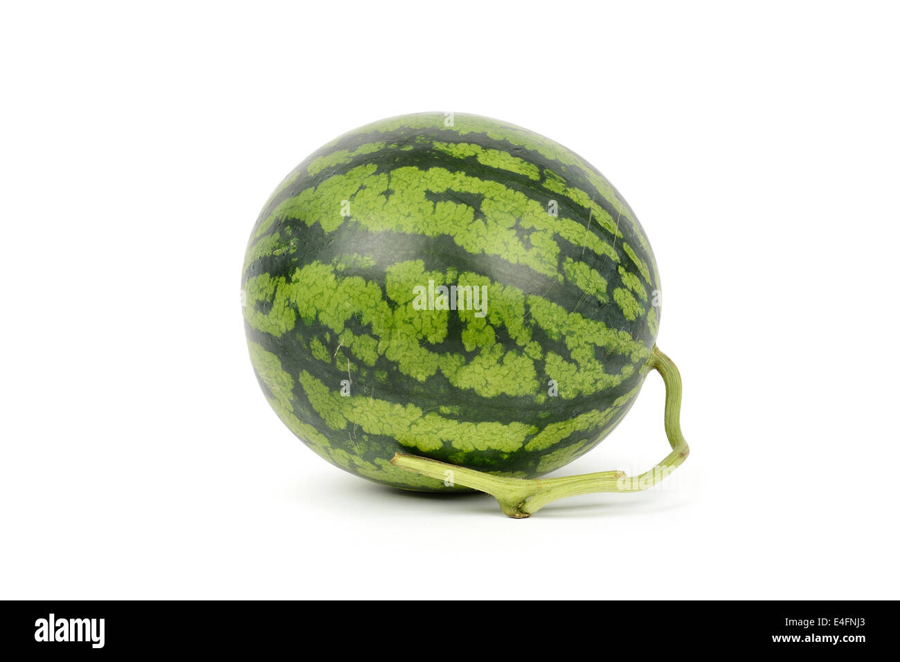 whole view of fresh watermelon, isolated on white Stock Photo