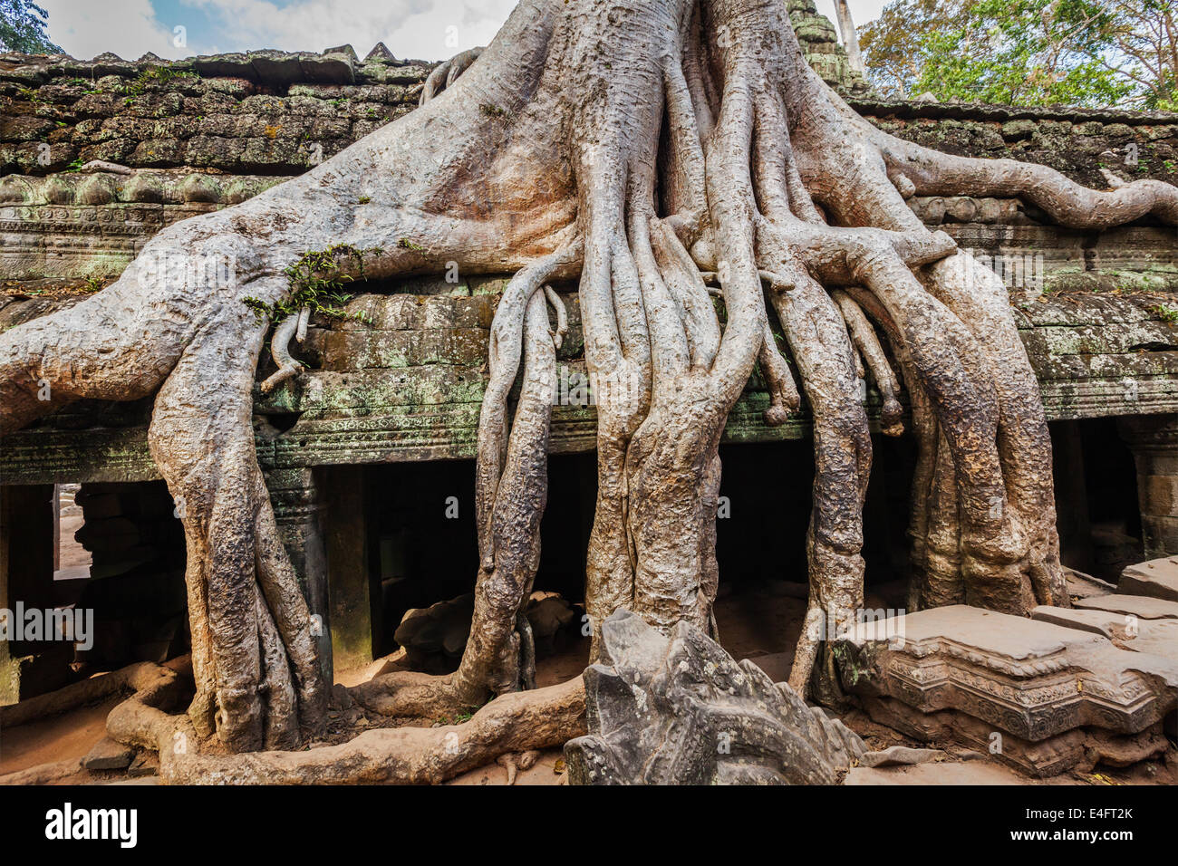 Travel Cambodia concept background - ancient ruins with tree roots, Ta Prohm temple, Angkor, Cambodia Stock Photo