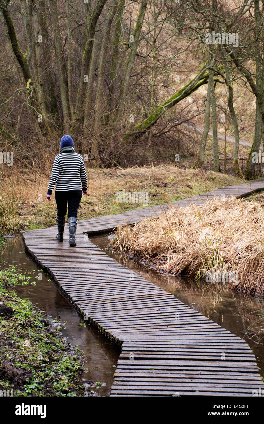 A young girl on a wooden walkway across a woodland pond in winter. Stock Photo