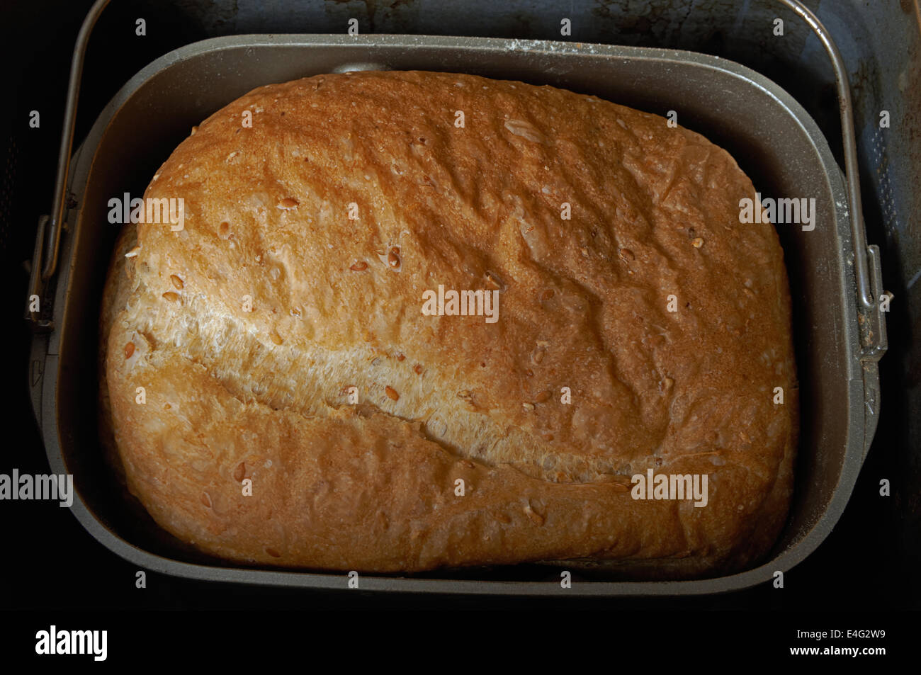 Freshly baked loaf of bread in bread machine Stock Photo Alamy