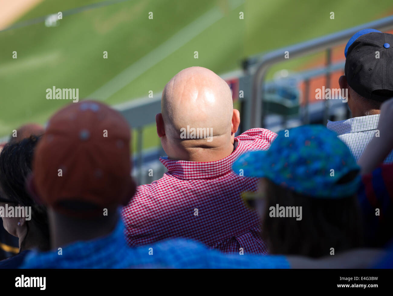 Man with shaved head at a baseball game Stock Photo