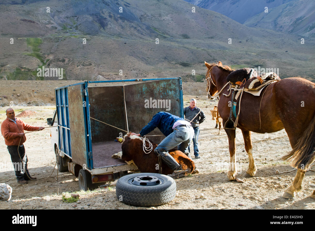 Huasos, Chilean cowboys in Cajon del Maipo y Embalse El Yeso reservoir, Andes, Chile Stock Photo
