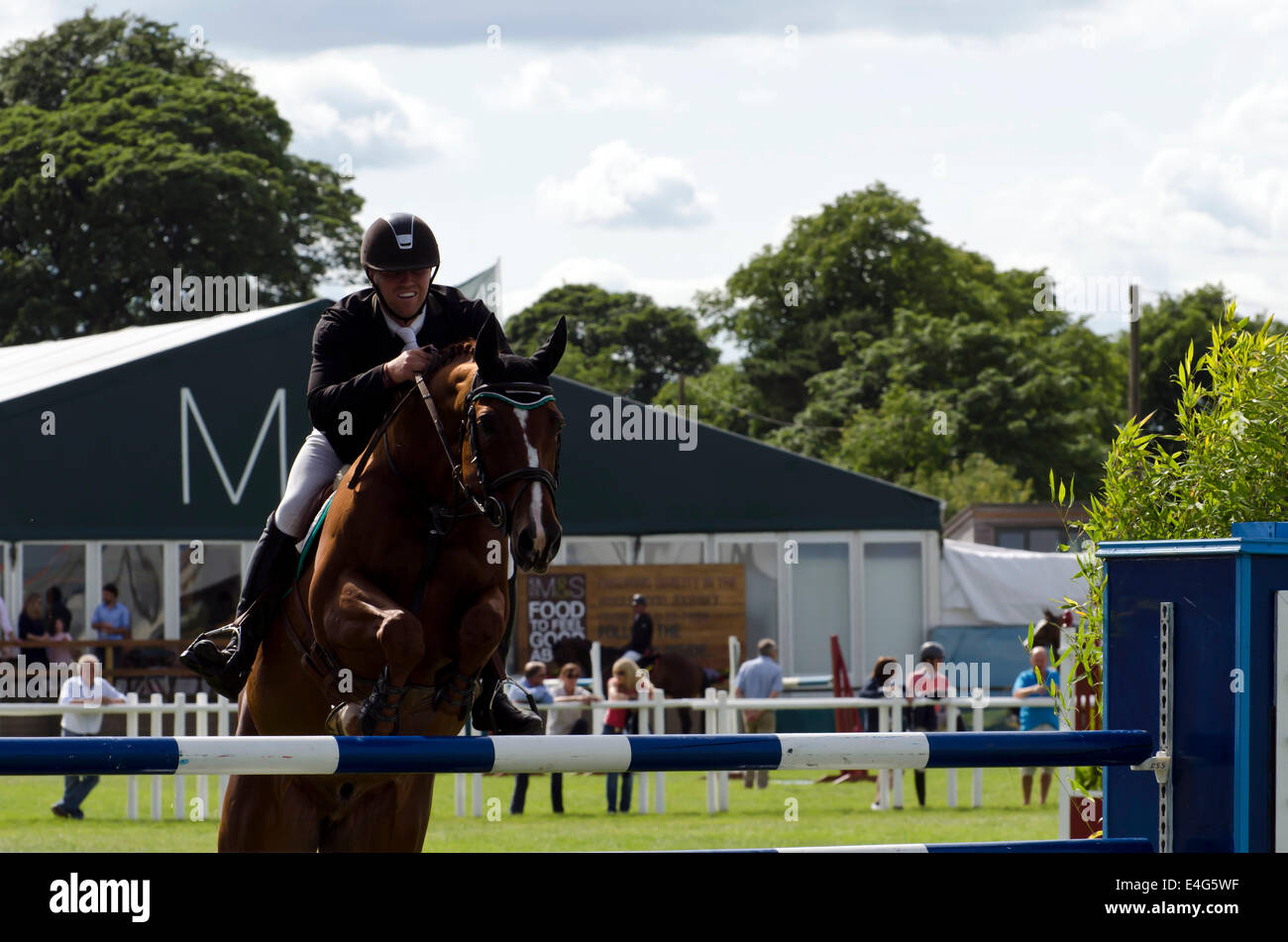 Showjumper horse hires stock photography and images Alamy