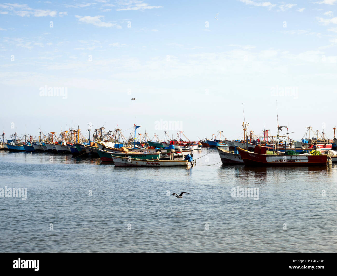 Fifhing fleet in the harbour of Paracas - Peru Stock Photo - Alamy