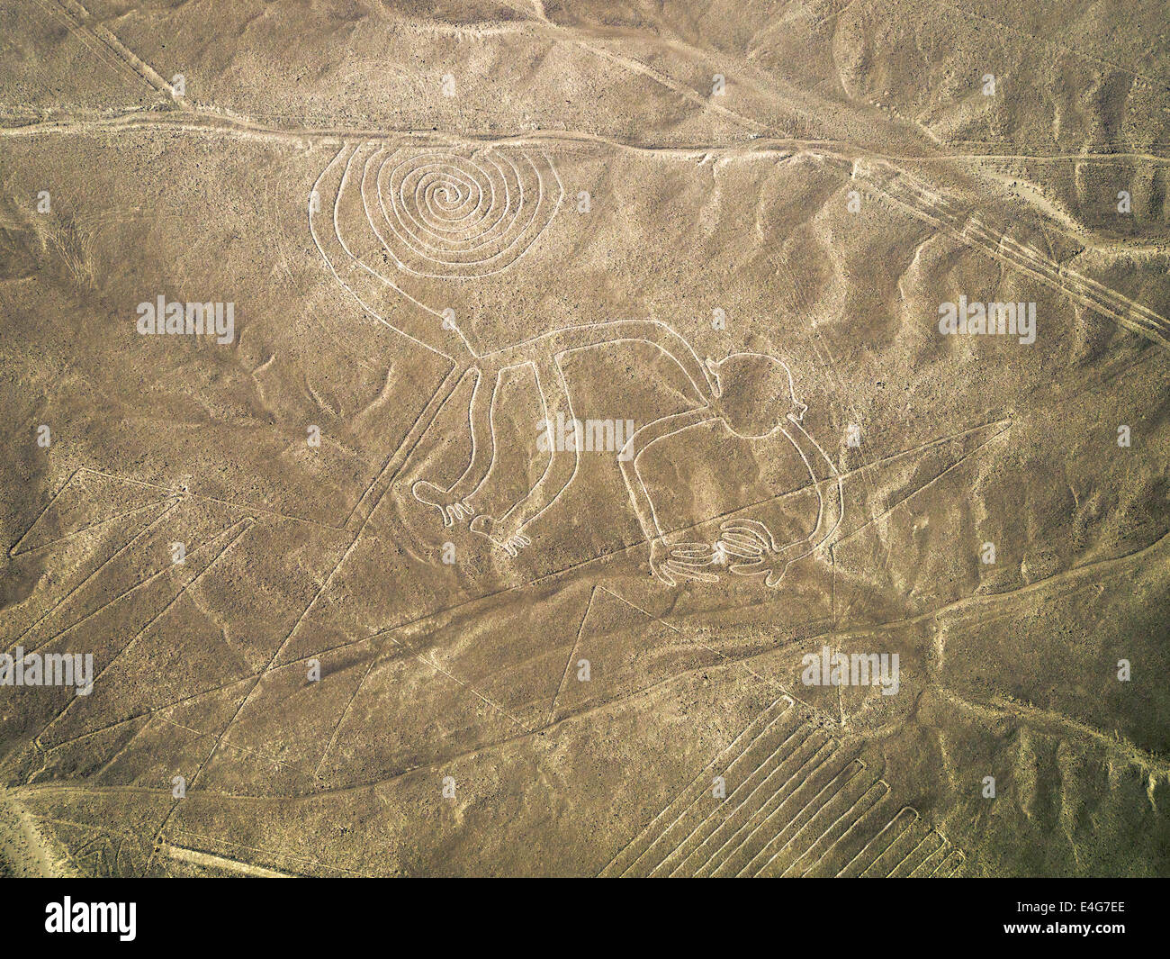 Monkey, Lines and Geoglyphs of Nasca, UNESCO World Heritage Site - Peru Stock Photo