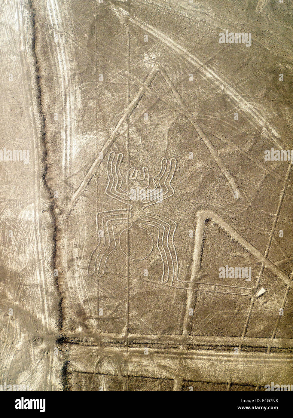 Arana (Spider), Lines and Geoglyphs of Nazca, UNESCO World Heritage Site - Peru Stock Photo