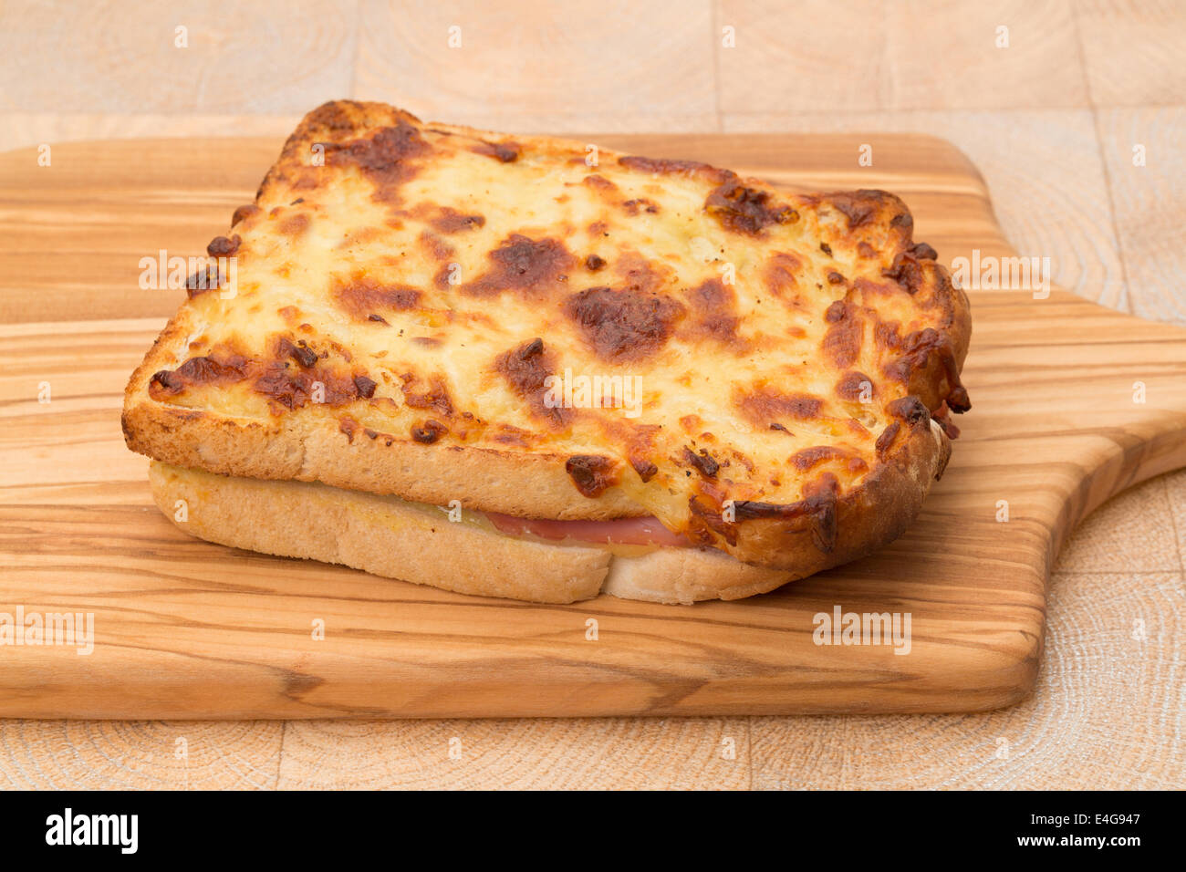 A toasted cheese and ham sandwich or panini - studio shot Stock Photo