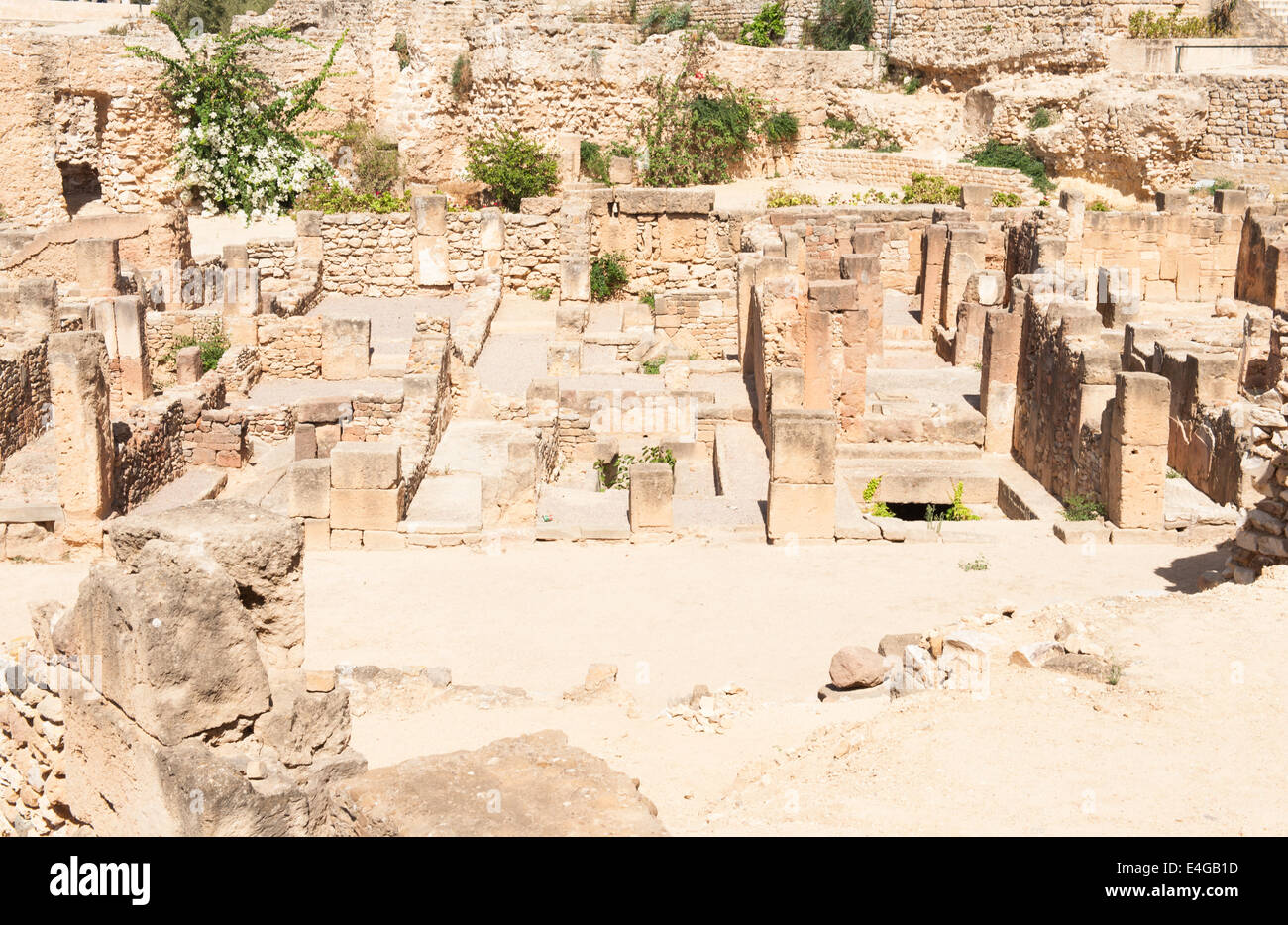Ruins of the ancient city of Carthage destroyed by the Romans is