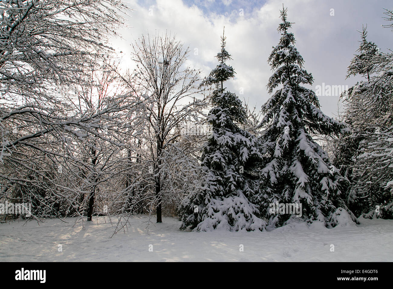 Snowstorm in toronto ontario hi-res stock photography and images - Alamy